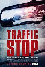 Watch Traffic Stop Megavideo