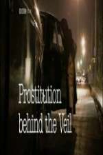 Watch Prostitution: Behind the Veil Megavideo