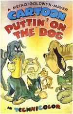 Watch Puttin\' on the Dog Megavideo