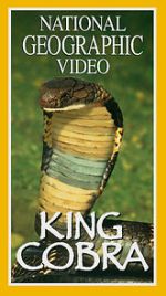 Watch King Cobra Megavideo