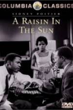 Watch A Raisin in the Sun Megavideo