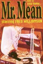 Watch Mr Mean Megavideo