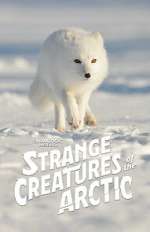 Watch Strange Creatures of the Arctic (TV Special 2022) Megavideo