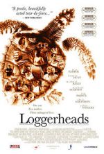 Watch Loggerheads Megavideo