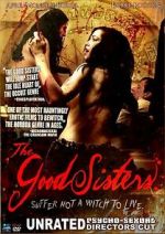 Watch The Good Sisters Megavideo