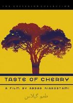 Watch Taste of Cherry Megavideo