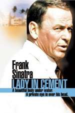 Watch Lady in Cement Megavideo