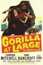 Watch Gorilla at Large Megavideo