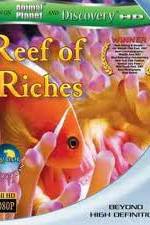Watch Equator Reefs of Riches Megavideo