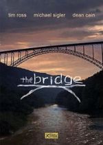 Watch The Bridge Megavideo