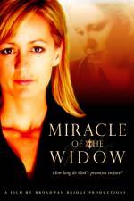 Watch Miracle of the Widow Megavideo