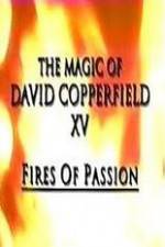 Watch The Magic of David Copperfield XV Fires of Passion Megavideo