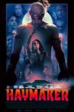 Watch Haymaker Megavideo