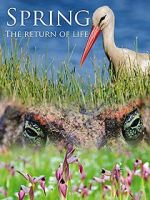 Watch Spring: The Return of Life Megavideo