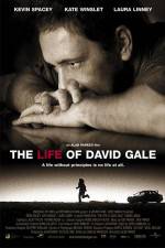 Watch The Life of David Gale Megavideo