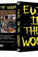 Watch Evil in the Woods Megavideo