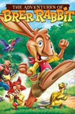 Watch The Adventures of Brer Rabbit Megavideo