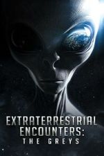 Watch Extraterrestrial Encounters: The Greys Megavideo