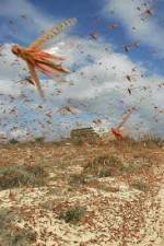 Watch Swarm Chasers: Locusts Megavideo