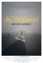 Watch Ai Weiwei: Never Sorry Megavideo