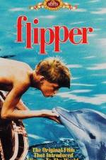 Watch Flipper Megavideo