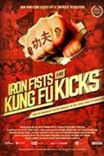 Watch Iron Fists and Kung Fu Kicks Megavideo