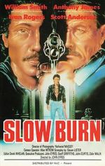 Watch Slow Burn Megavideo