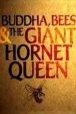 Watch Natural World Buddha Bees and the Giant Hornet Queen Megavideo