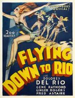 Watch Flying Down to Rio Megavideo