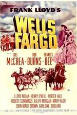 Watch Wells Fargo Megavideo