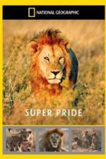 Watch National Geographic: Super Pride  Africa's Largest Lion Pride Megavideo
