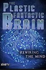 Watch The Plastic Fantastic Brain Megavideo