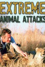 Watch Extreme Animal Attacks Megavideo