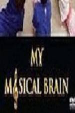 Watch National Geographic - My Musical Brain Megavideo