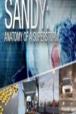 Watch Sandy Anatomy Of A Superstorm Megavideo