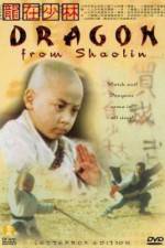 Watch Long zai Shaolin Megavideo