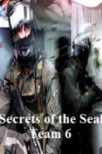 Watch Discovery Channel Secrets of Seal Team 6 Megavideo
