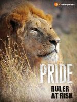 Watch Pride - Ruler\'s at Risk Megavideo