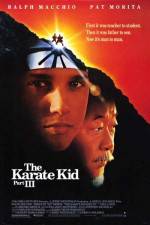 Watch The Karate Kid, Part III Megavideo