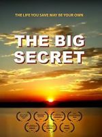 Watch The Big Secret Megavideo