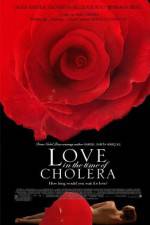 Watch Love in the Time of Cholera Megavideo