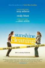 Watch Sunshine Cleaning Megavideo