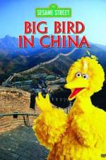 Watch Big Bird in China Megavideo