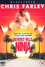 Watch Beverly Hills Ninja Megavideo