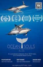 Watch Ocean Souls Megavideo