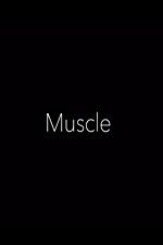 Watch Muscle Megavideo