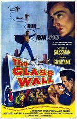 Watch The Glass Wall Megavideo