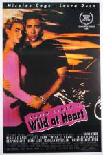 Watch Wild at Heart Megavideo