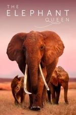 Watch The Elephant Queen Megavideo