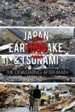 Watch Japan Aftermath of a Disaster Megavideo